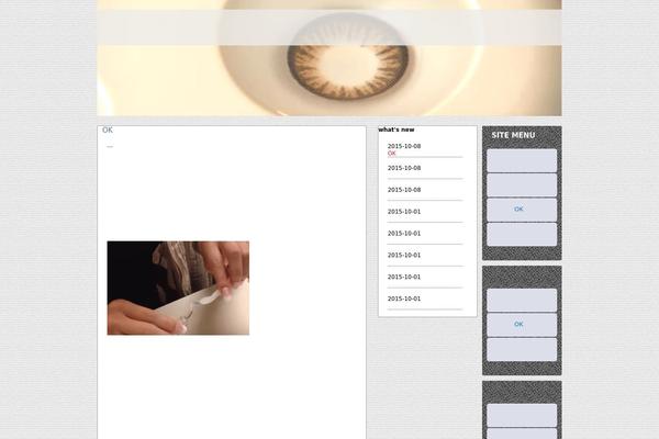 ft_puranbsan3 theme websites examples