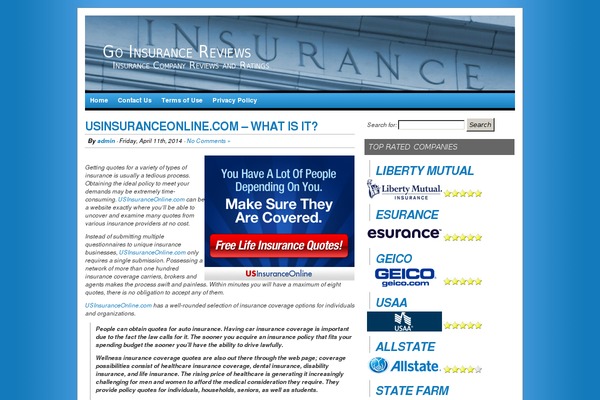 BloggingSuccess theme websites examples