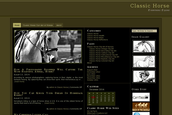 Amerifecta theme site design template sample