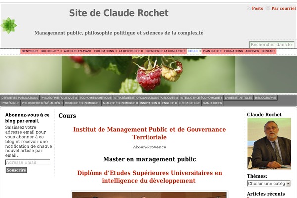 Site using Page View Count plugin