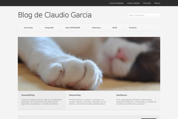 Pitch theme site design template sample