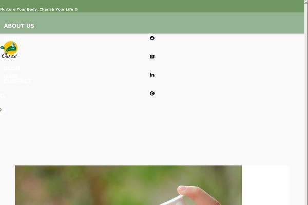 Pro theme site design template sample