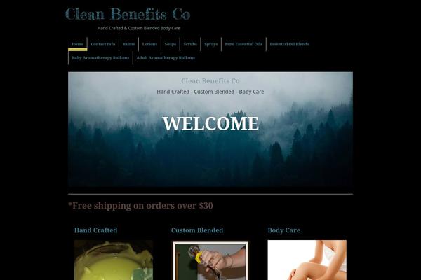 Pilot Fish theme site design template sample