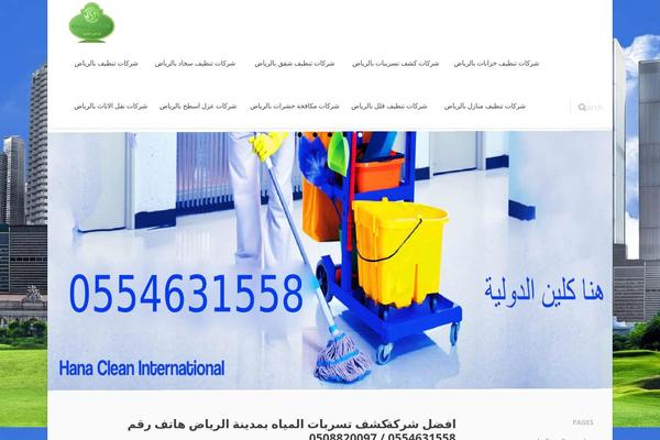 Converio theme site design template sample
