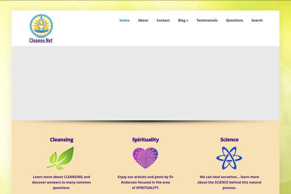 Brooklyn Child theme site design template sample