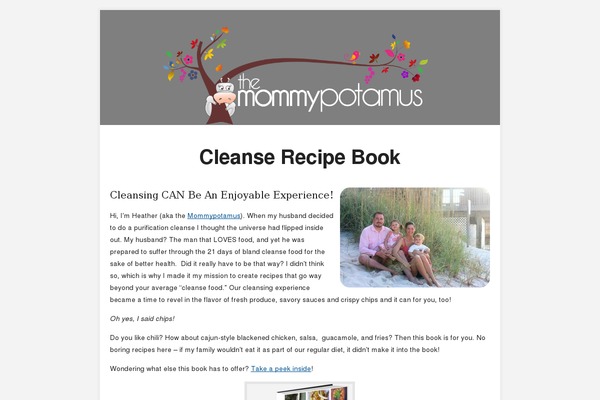 cleanserecipebook.com site used Scoreme Theme