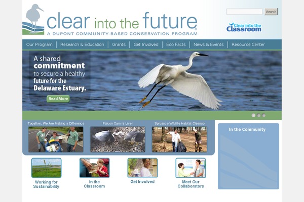clearintothefuture.com site used Citf