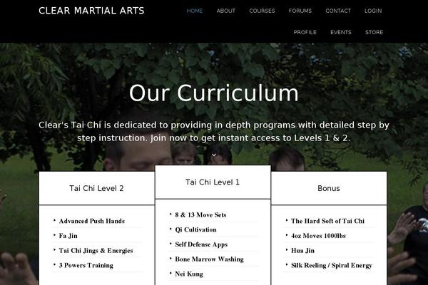 Parallax Pro theme site design template sample