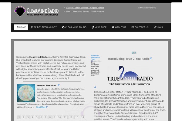 Soundwave theme site design template sample