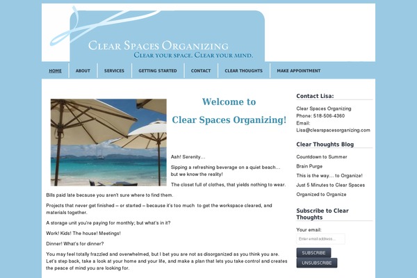 Think theme site design template sample