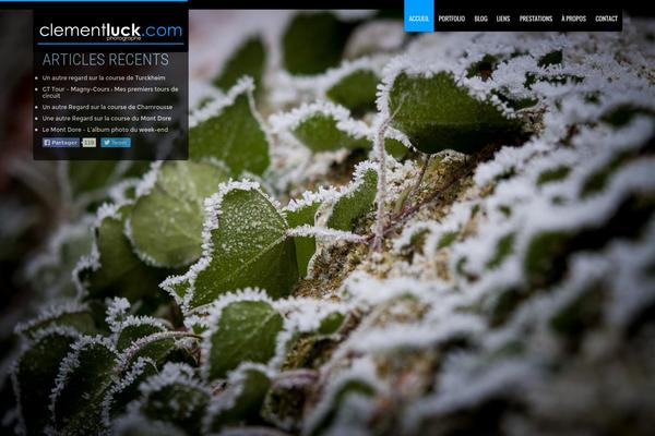Vernissage theme site design template sample