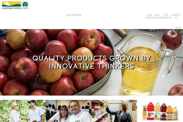 Site using WP Video Lightbox plugin