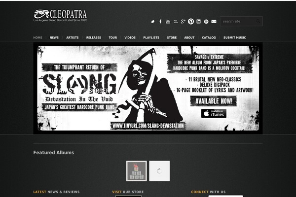 Site using Soundrise-music plugin