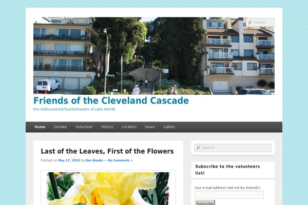 Catch Box theme site design template sample
