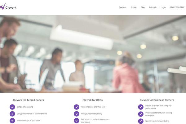 MioWeb theme site design template sample
