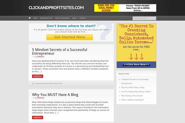 clickandprofitsite theme websites examples