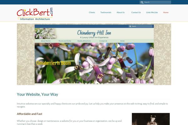 Virtue Premium theme site design template sample