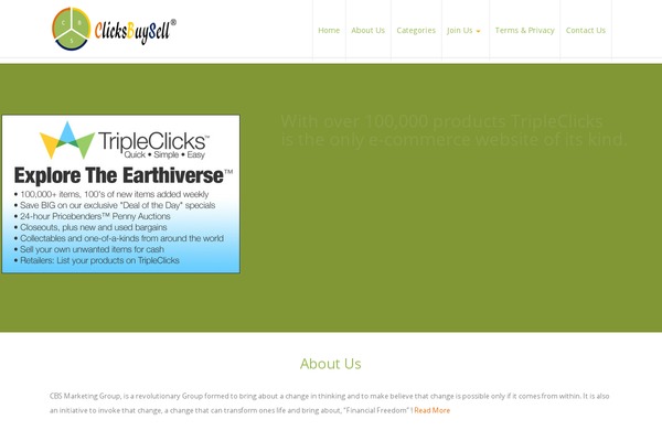 PRO Business theme site design template sample