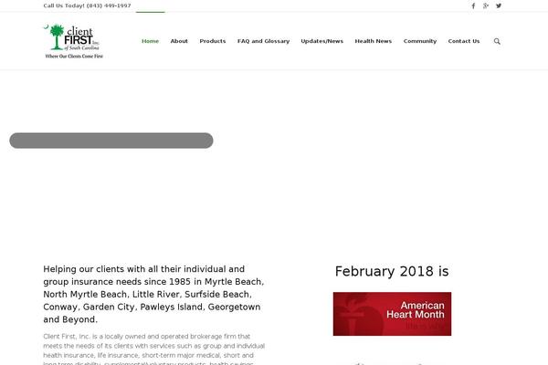 Velocity-child theme site design template sample