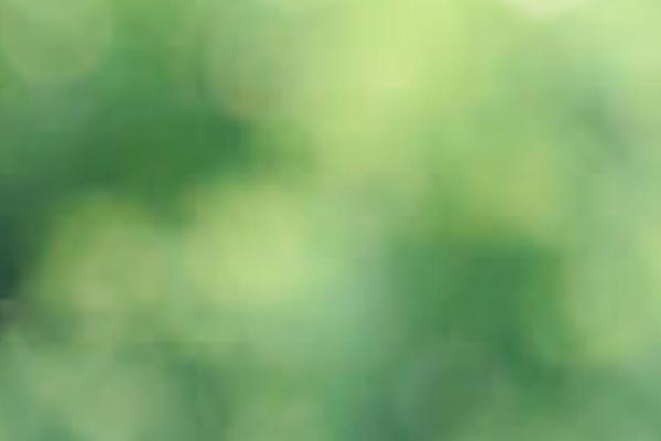 Hudsonwp theme site design template sample