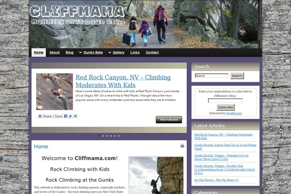 Site using Sg-cachepress plugin