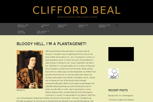 Suits theme site design template sample