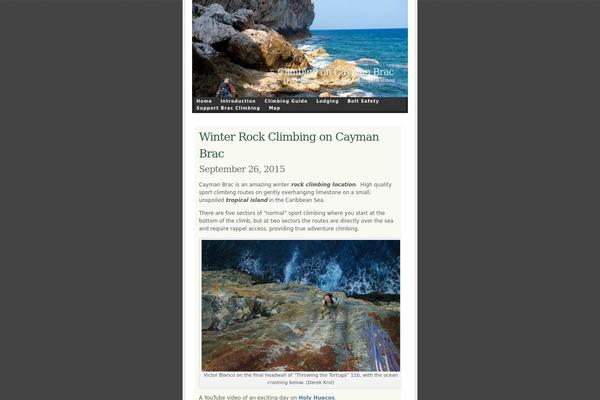 Ambiru theme site design template sample