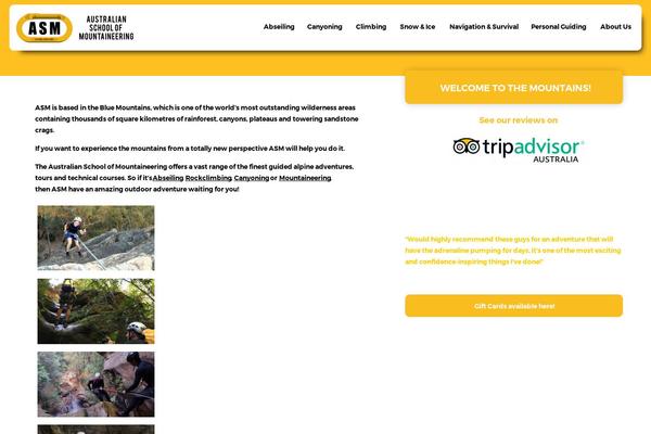 Asm theme site design template sample
