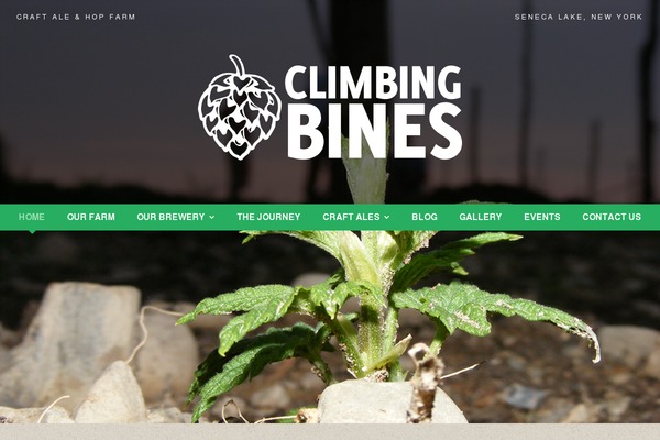 Equestrian theme site design template sample