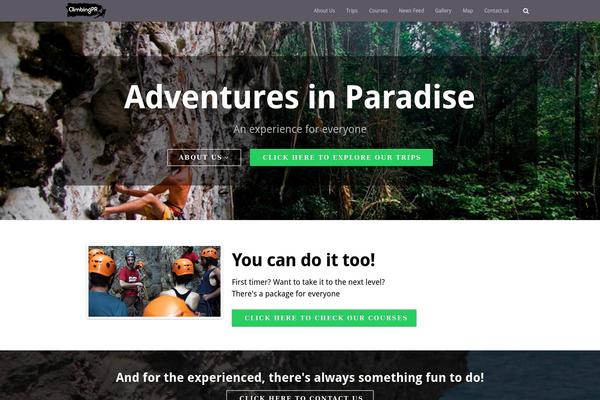 DMS theme site design template sample