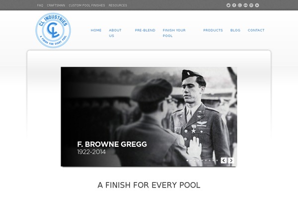 Site using AnyWP MailChimp plugin
