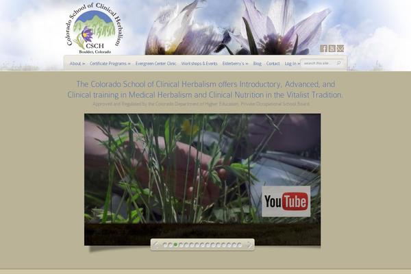 Deepfocus theme site design template sample