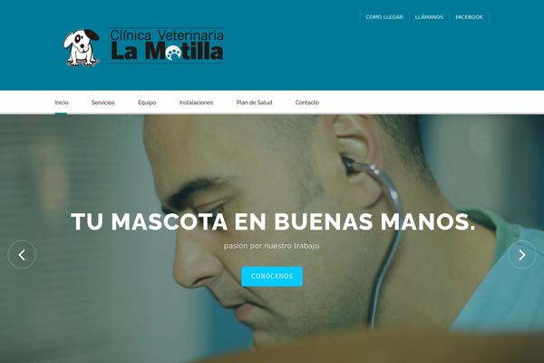Site using Kopa Framework plugin