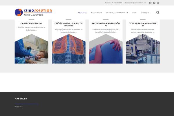 The Company theme site design template sample