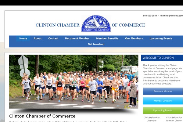 Virtue Premium theme site design template sample