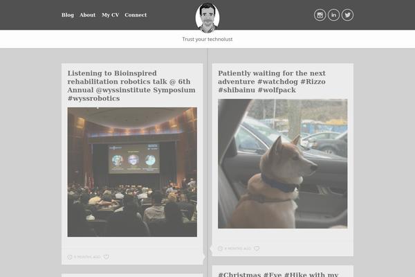 Sann theme site design template sample