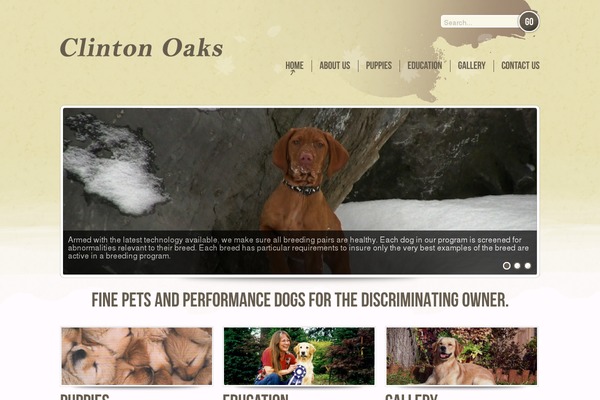 Watercolor theme site design template sample