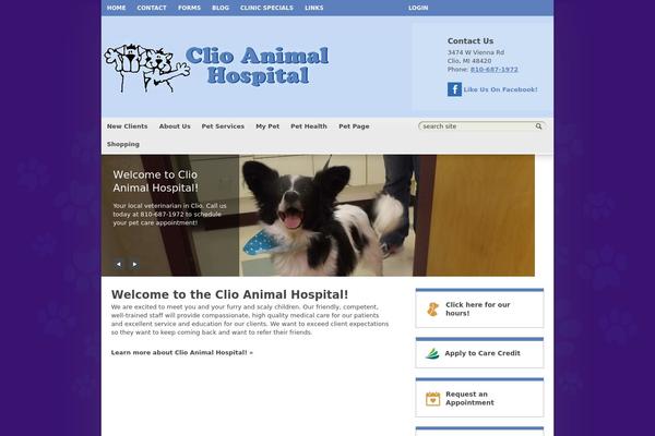 Site using Lifelearn-accessibility plugin