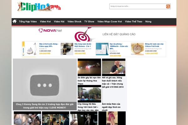 vne theme websites examples