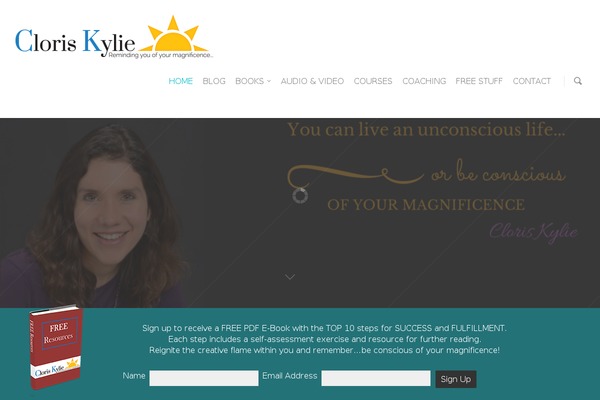 Salient theme site design template sample