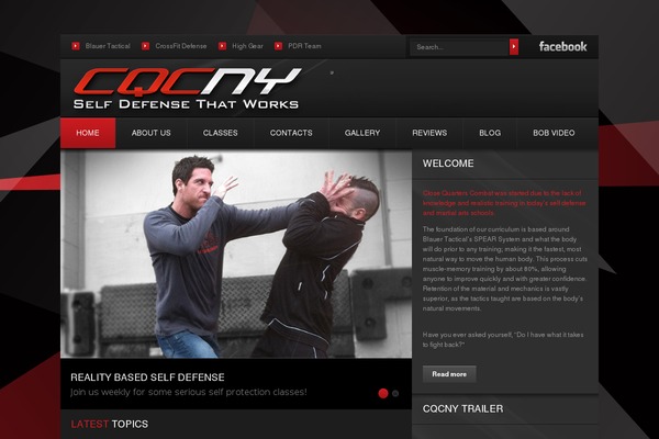 Theme1990 theme site design template sample