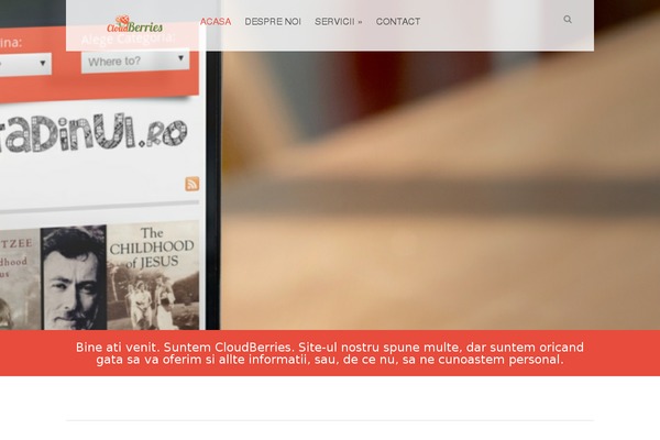Site using Autoptimize plugin
