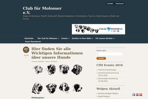 Designfolio theme site design template sample