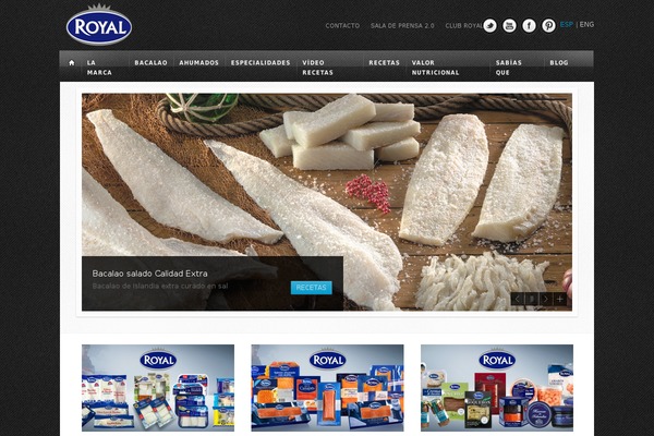 Ion theme site design template sample