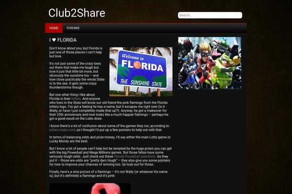 NewGamer theme site design template sample