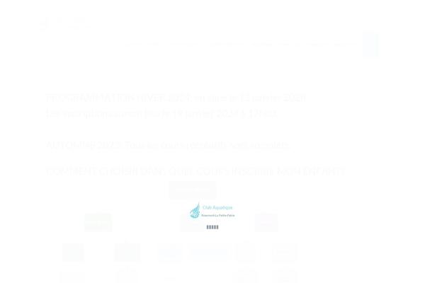 Site using Ays-popup-box plugin