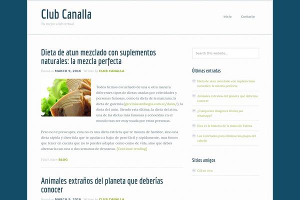 Focus Pro theme site design template sample