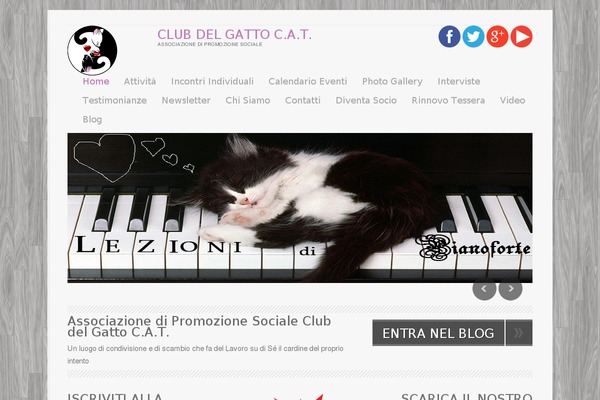 Revelation-theme theme site design template sample