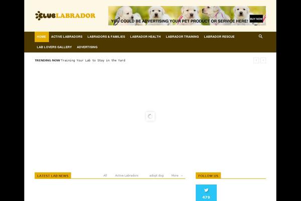 Site using Google Affiliate Network plugin