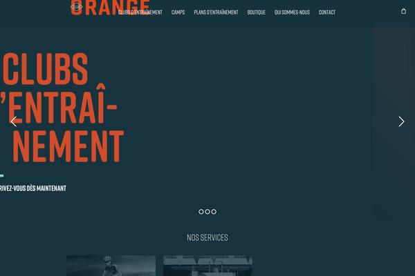 Salient Child theme site design template sample